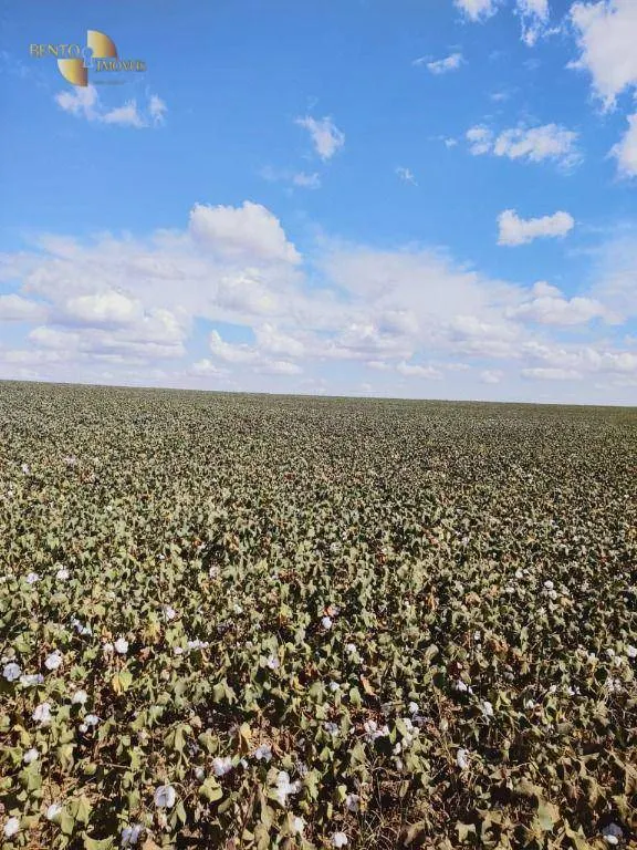 Fazenda à venda de 1.200 ha em Sorriso, MT, Brasil