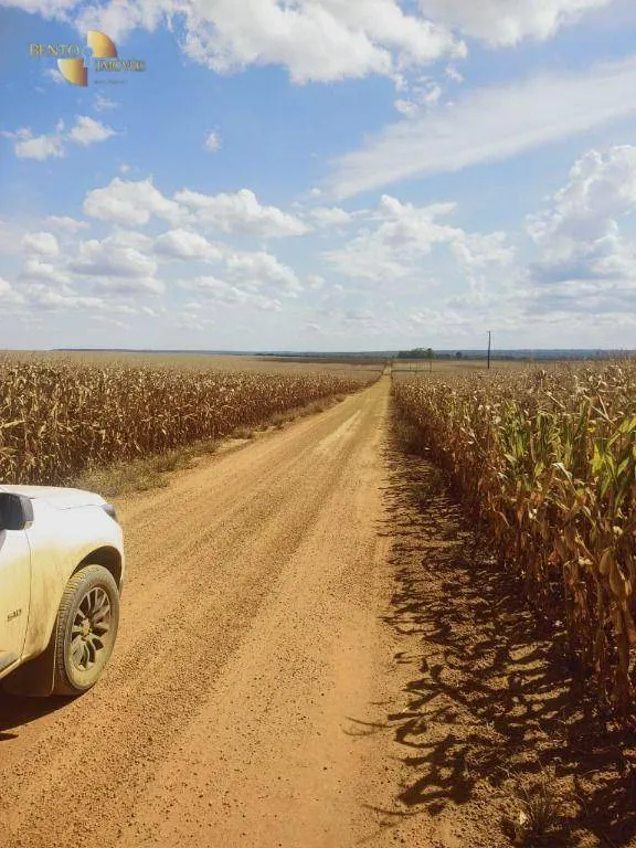 Fazenda à venda de 1.200 ha em Sorriso, MT, Brasil