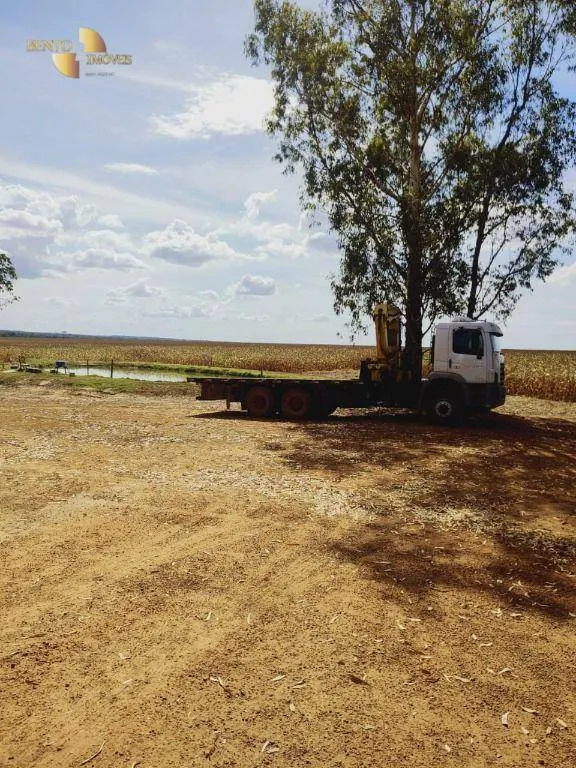 Fazenda à venda de 1.200 ha em Sorriso, MT, Brasil