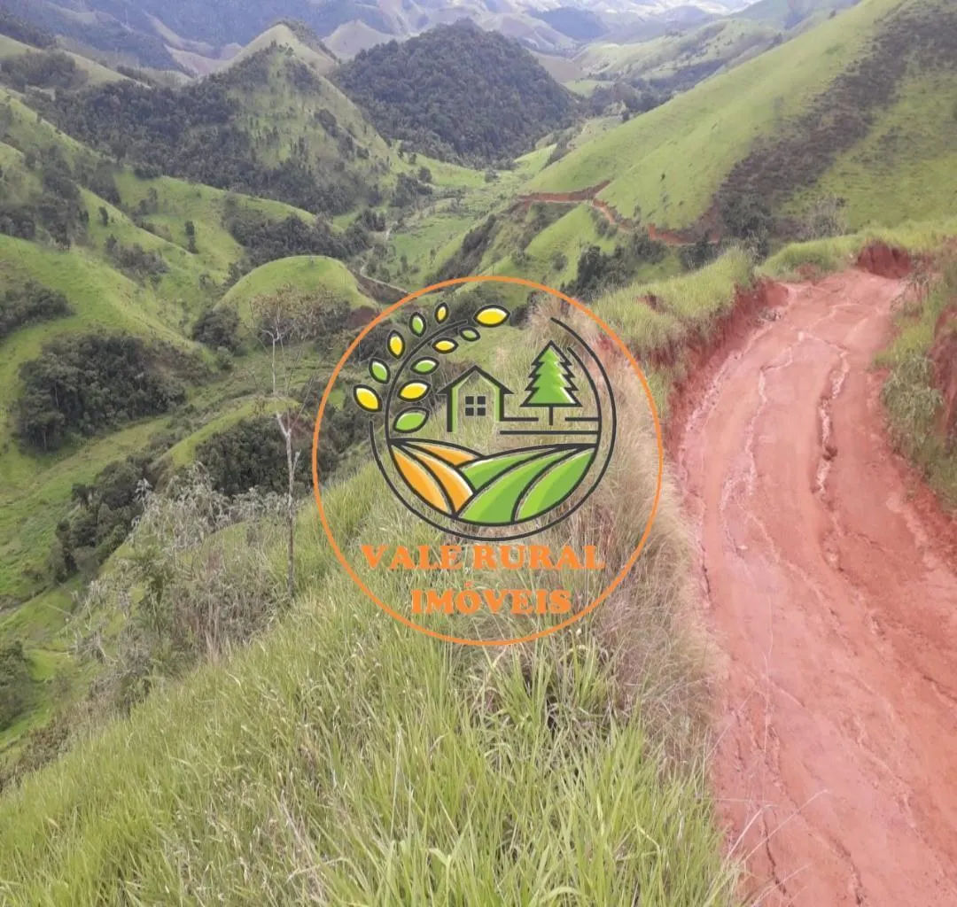 Fazenda à venda de 570 ha em Areias, SP, Brasil