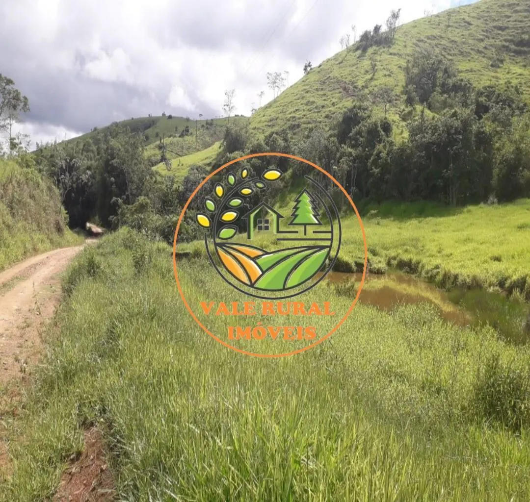 Fazenda à venda de 570 ha em Areias, SP, Brasil