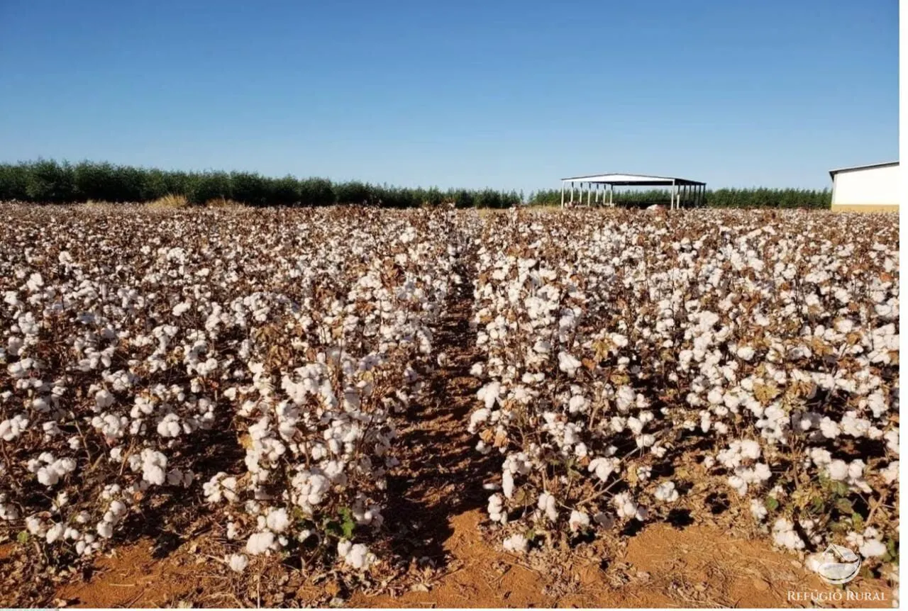 Fazenda à venda de 17.897 ha em Canarana, MT, Brasil