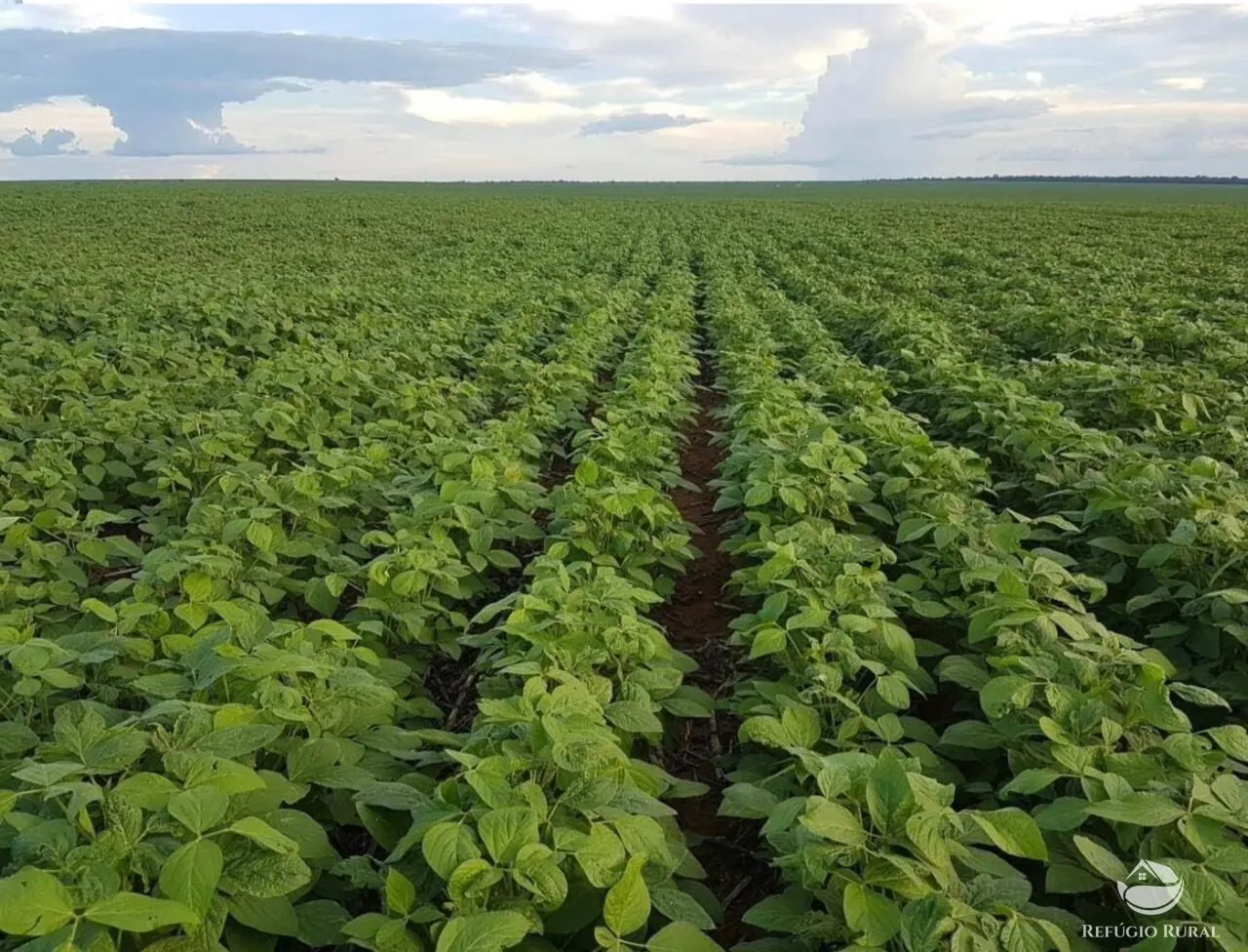 Fazenda à venda de 17.897 ha em Canarana, MT, Brasil