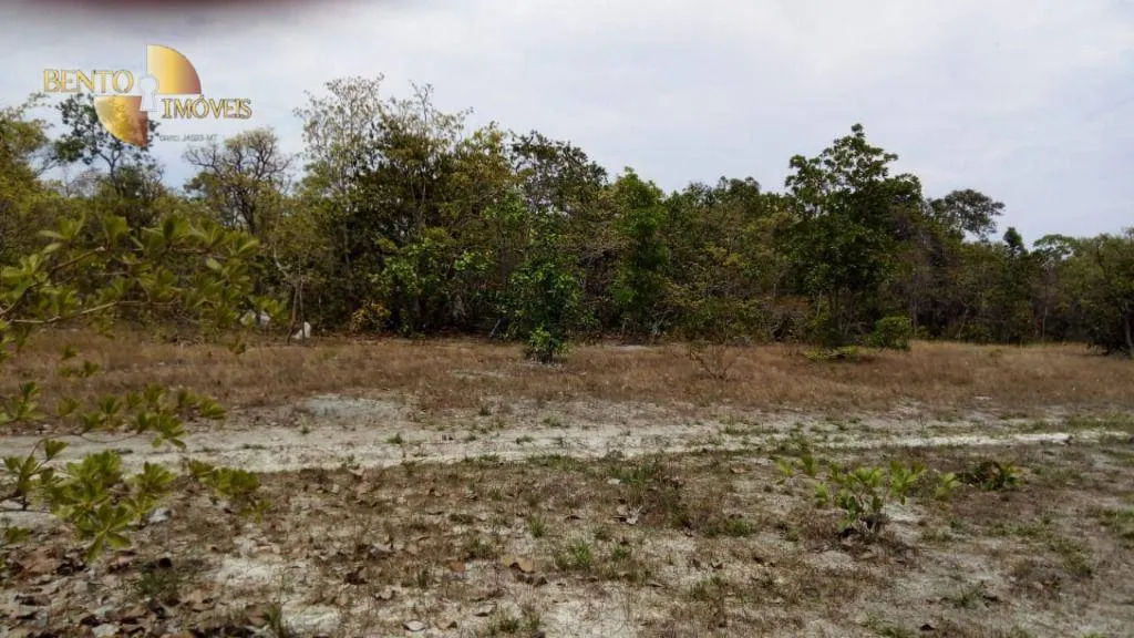 Fazenda à venda de 1.064 ha em Nova Xavantina, MT, Brasil