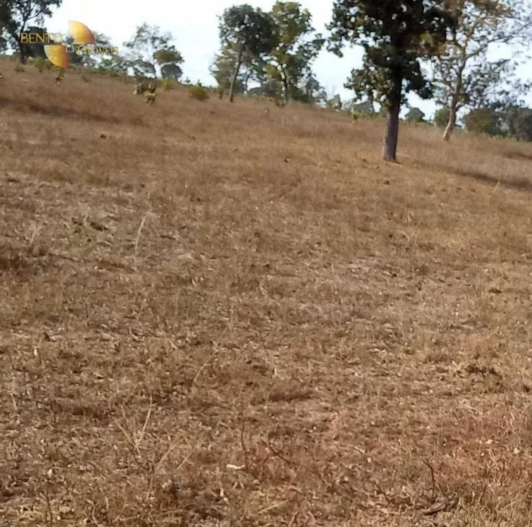 Fazenda à venda de 1.064 ha em Nova Xavantina, MT, Brasil