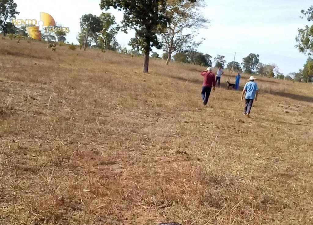 Fazenda à venda de 1.064 ha em Nova Xavantina, MT, Brasil