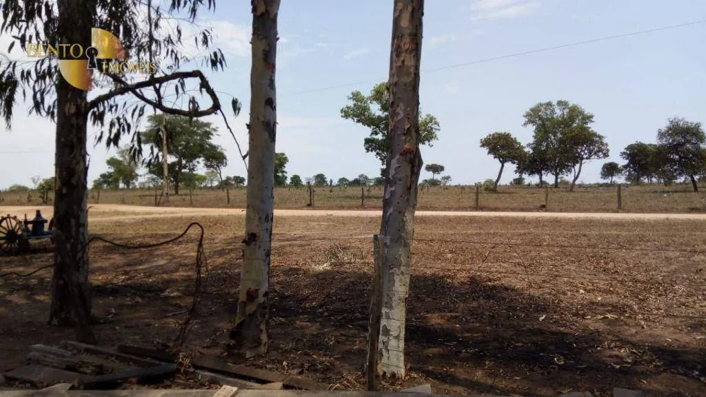 Fazenda à venda de 1.064 ha em Nova Xavantina, MT, Brasil