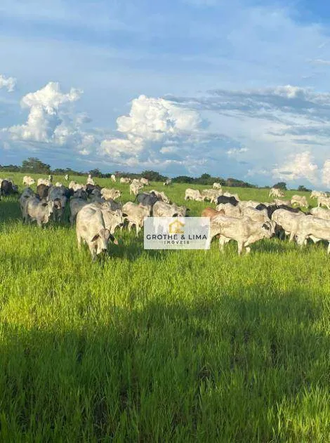 Farm for sale of 1,615 acres in Colinas do Tocantins, TO, Brazil