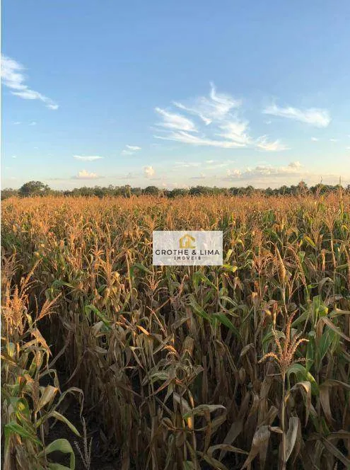 Farm for sale of 1,615 acres in Colinas do Tocantins, TO, Brazil