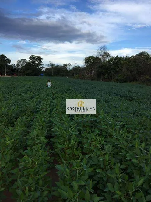 Farm for sale of 1,615 acres in Colinas do Tocantins, TO, Brazil