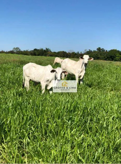 Farm for sale of 1,615 acres in Colinas do Tocantins, TO, Brazil