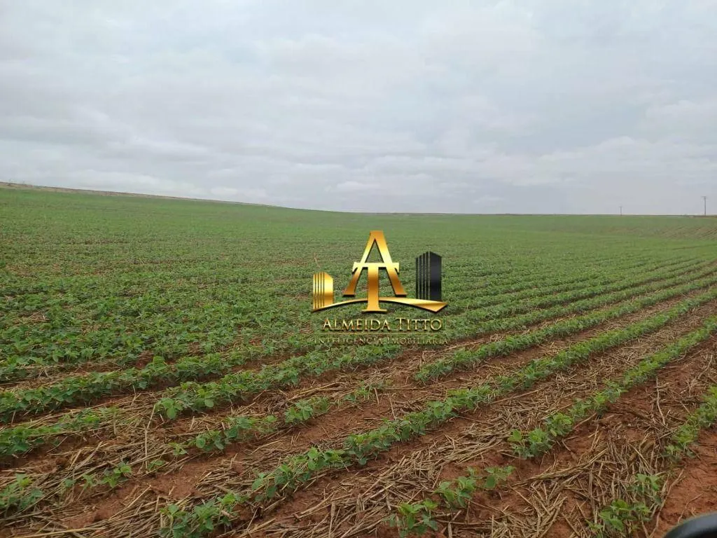 Fazenda à venda de 1.670 ha em Itaberá, SP, Brasil