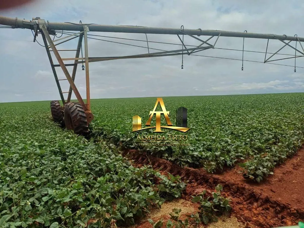 Fazenda à venda de 1.670 ha em Itaberá, SP, Brasil