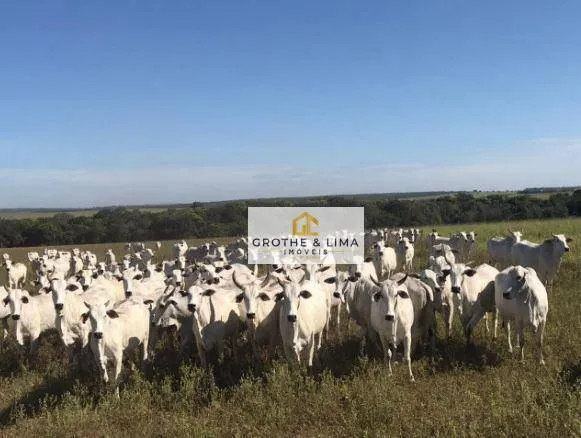 Fazenda à venda de 18.653 ha em Araguaína, TO, Brasil