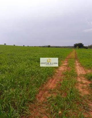 Fazenda à venda de 18.653 ha em Araguaína, TO, Brasil