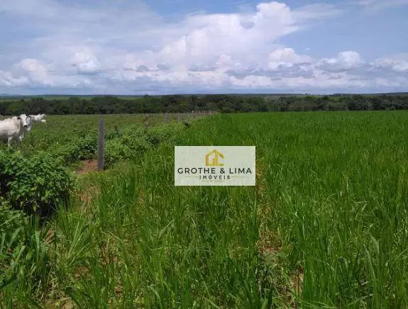 Fazenda à venda de 18.653 ha em Araguaína, TO, Brasil