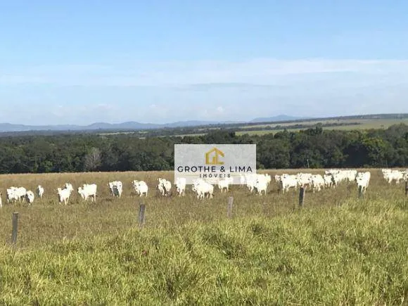 Fazenda à venda de 18.653 ha em Araguaína, TO, Brasil