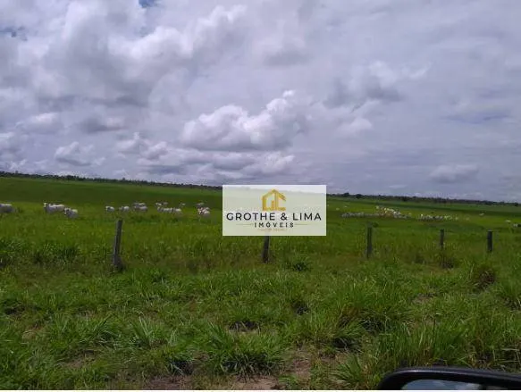 Fazenda à venda de 18.653 ha em Araguaína, TO, Brasil