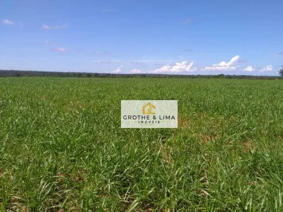 Fazenda à venda de 18.653 ha em Araguaína, TO, Brasil
