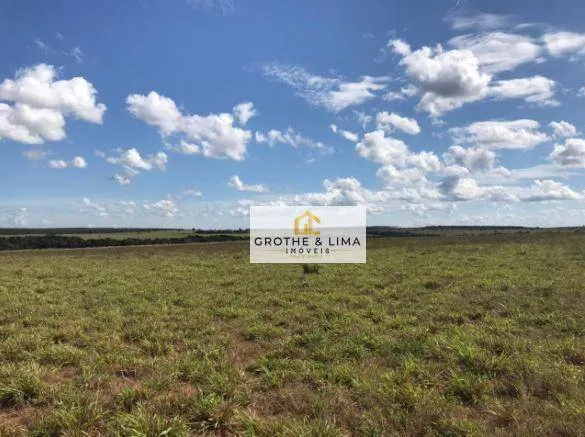 Fazenda à venda de 18.653 ha em Araguaína, TO, Brasil