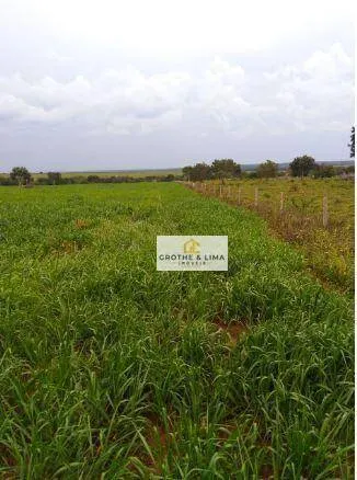 Fazenda à venda de 18.653 ha em Araguaína, TO, Brasil