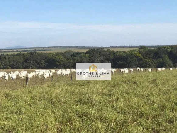 Fazenda à venda de 18.653 ha em Araguaína, TO, Brasil
