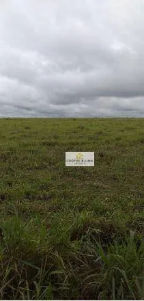 Fazenda à venda de 18.653 ha em Araguaína, TO, Brasil