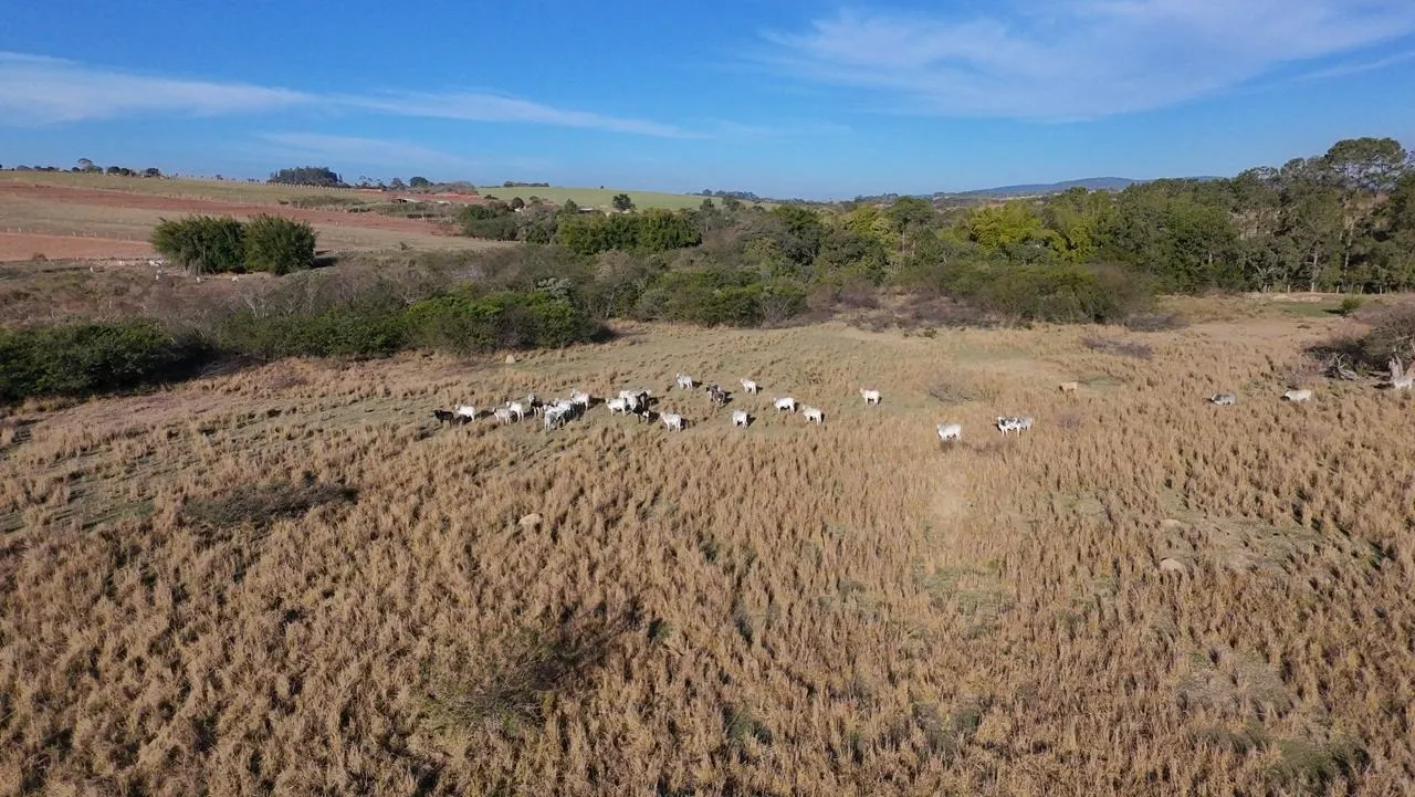 Fazenda à venda de 61 ha em Sorocaba, SP, Brasil