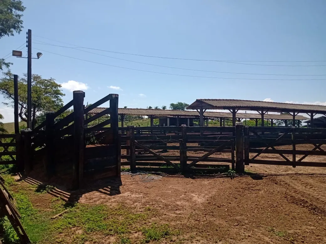 Fazenda à venda de 133 ha em Pilar do Sul, SP, Brasil