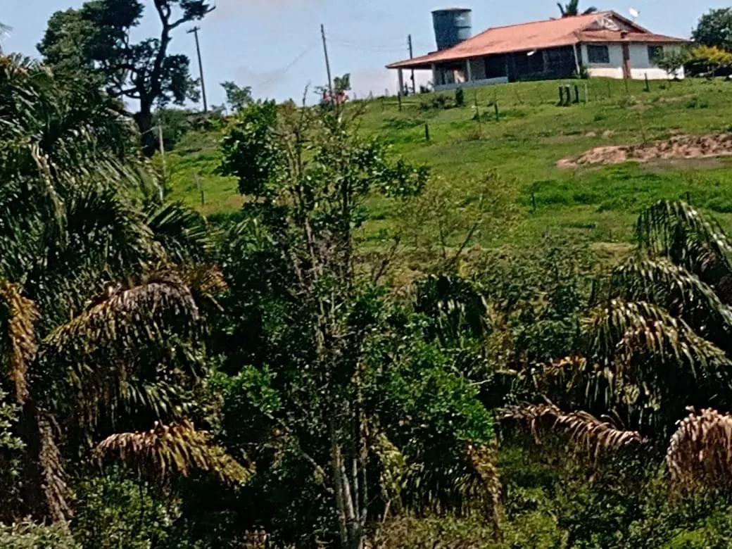 Fazenda à venda de 133 ha em Pilar do Sul, SP, Brasil