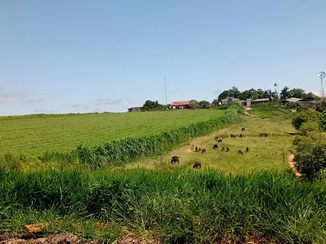 Fazenda à venda de 133 ha em Pilar do Sul, SP, Brasil