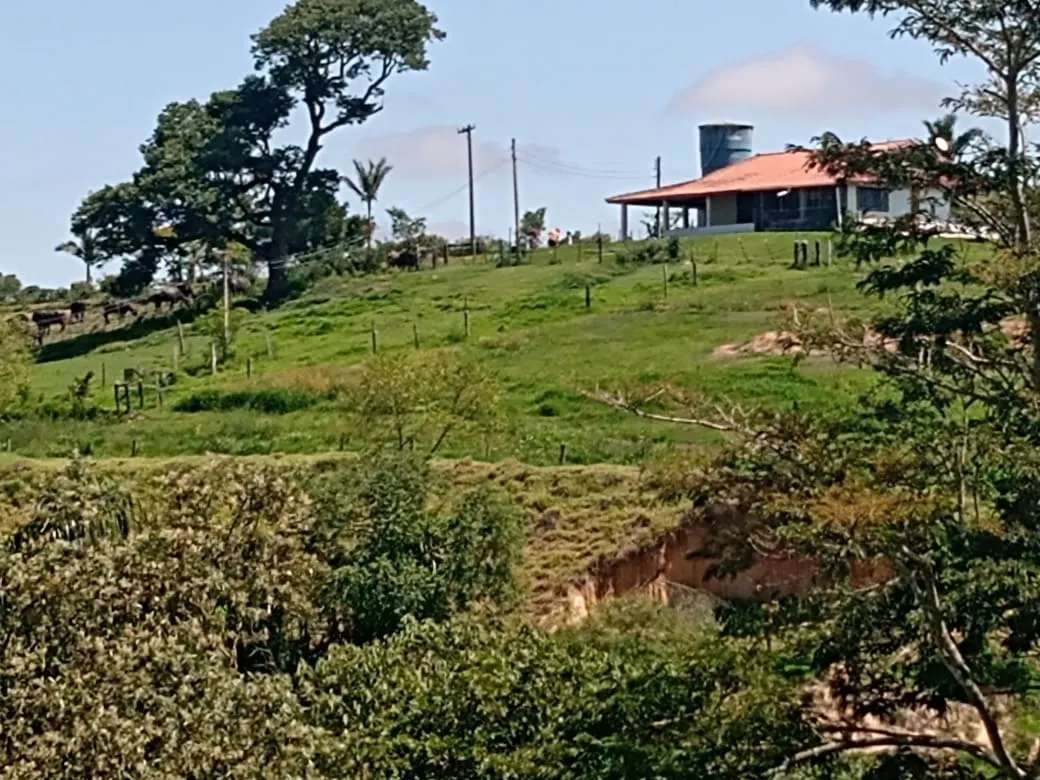 Fazenda à venda de 133 ha em Pilar do Sul, SP, Brasil