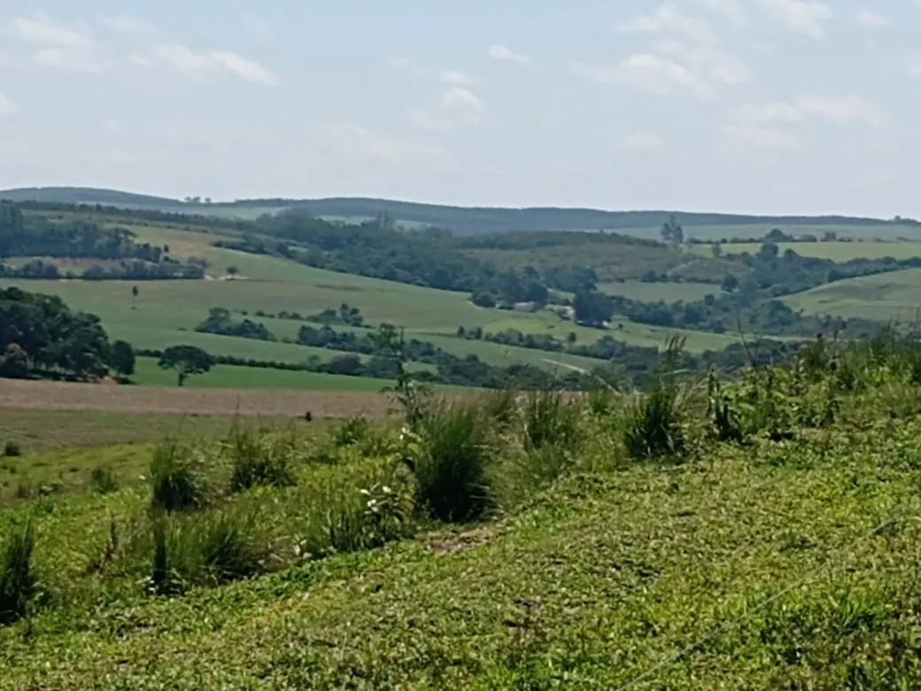 Fazenda à venda de 133 ha em Pilar do Sul, SP, Brasil