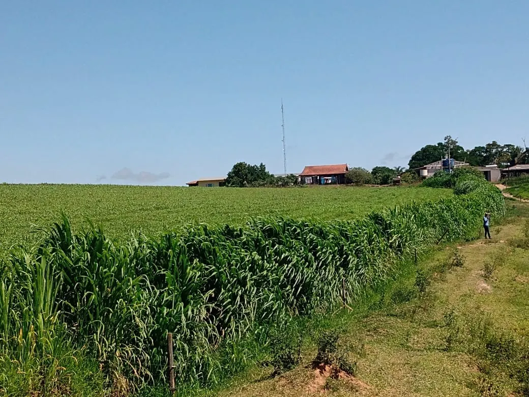 Fazenda à venda de 133 ha em Pilar do Sul, SP, Brasil