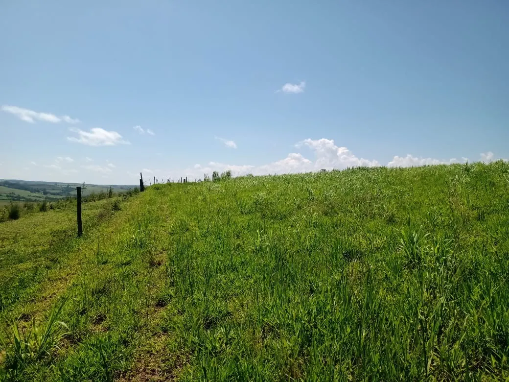 Fazenda à venda de 133 ha em Pilar do Sul, SP, Brasil
