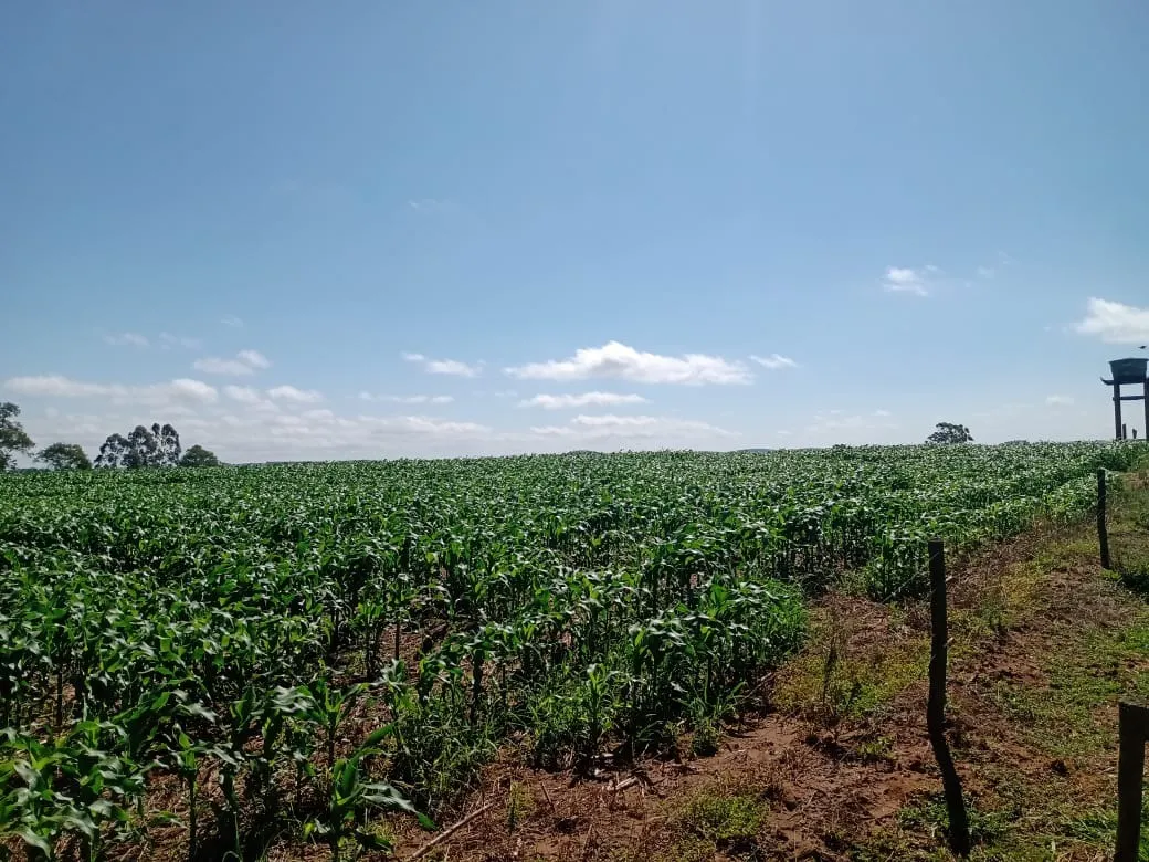 Fazenda à venda de 133 ha em Pilar do Sul, SP, Brasil