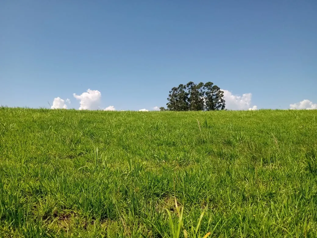 Fazenda à venda de 133 ha em Pilar do Sul, SP, Brasil