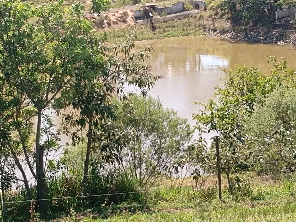 Fazenda à venda de 133 ha em Pilar do Sul, SP, Brasil