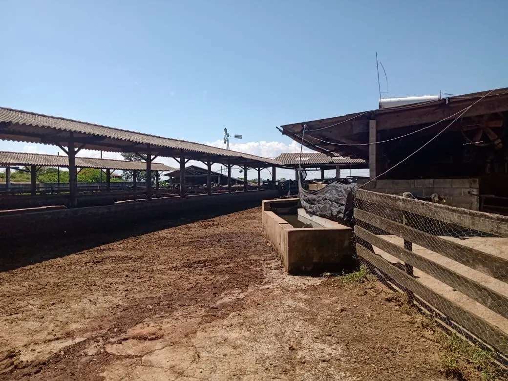 Fazenda à venda de 133 ha em Pilar do Sul, SP, Brasil