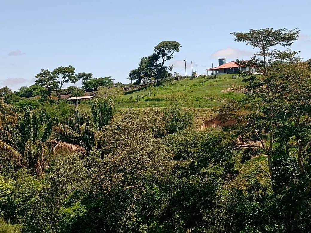 Fazenda à venda de 133 ha em Pilar do Sul, SP, Brasil