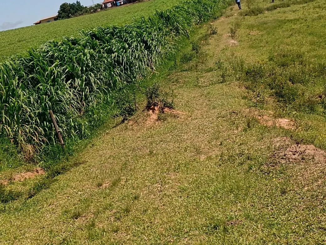 Fazenda à venda de 133 ha em Pilar do Sul, SP, Brasil