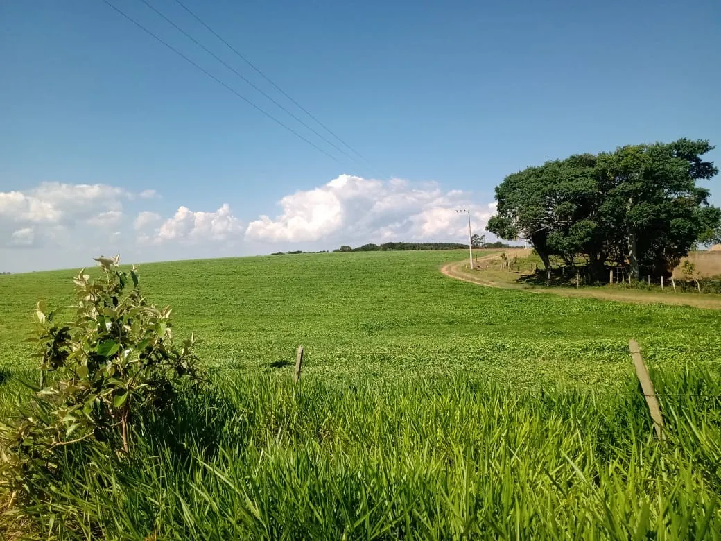 Fazenda à venda de 133 ha em Pilar do Sul, SP, Brasil