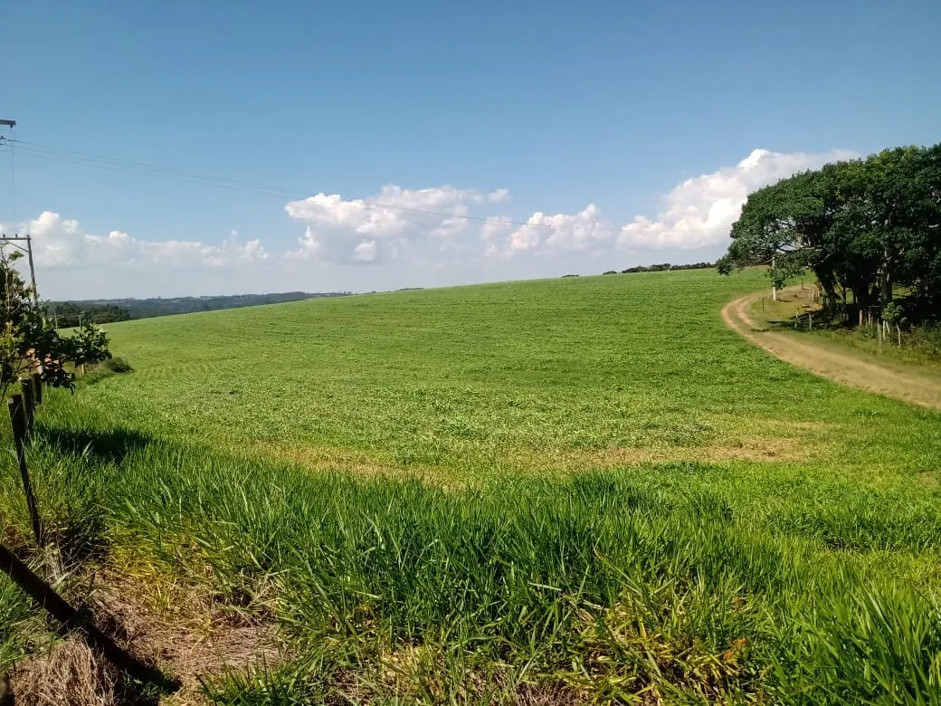 Fazenda à venda de 133 ha em Pilar do Sul, SP, Brasil