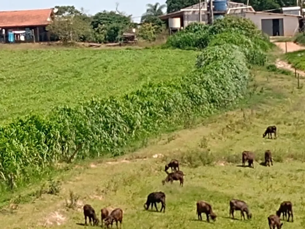 Fazenda à venda de 133 ha em Pilar do Sul, SP, Brasil