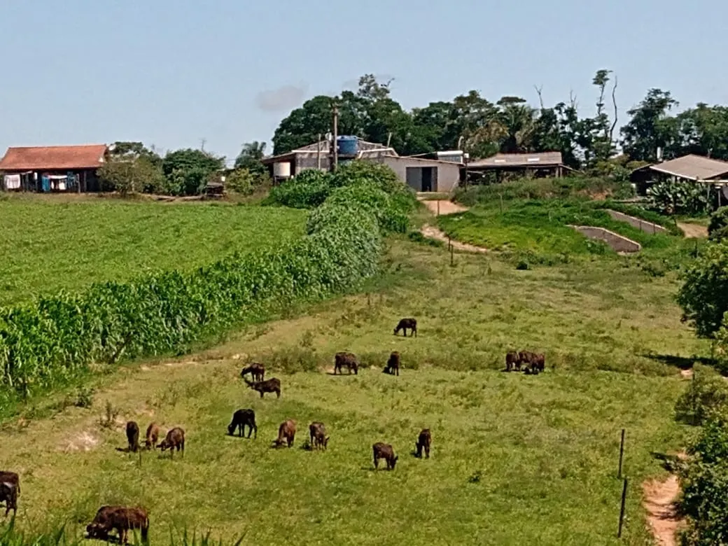 Fazenda à venda de 133 ha em Pilar do Sul, SP, Brasil