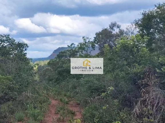 Fazenda à venda de 653 ha em Araguaína, TO, Brasil