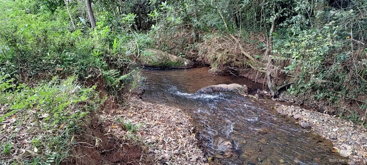 Chácara à venda de 3 ha em São José dos Campos, SP, Brasil