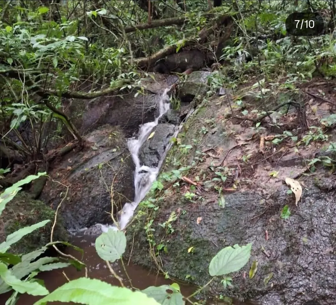 Terreno à venda de 2 ha em São José dos Campos, SP, Brasil