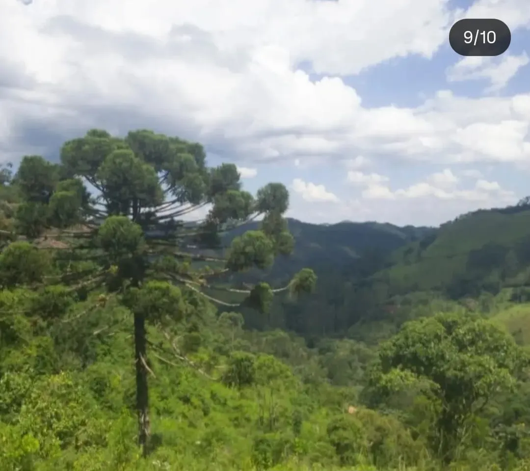 Terreno à venda de 2 ha em São José dos Campos, SP, Brasil
