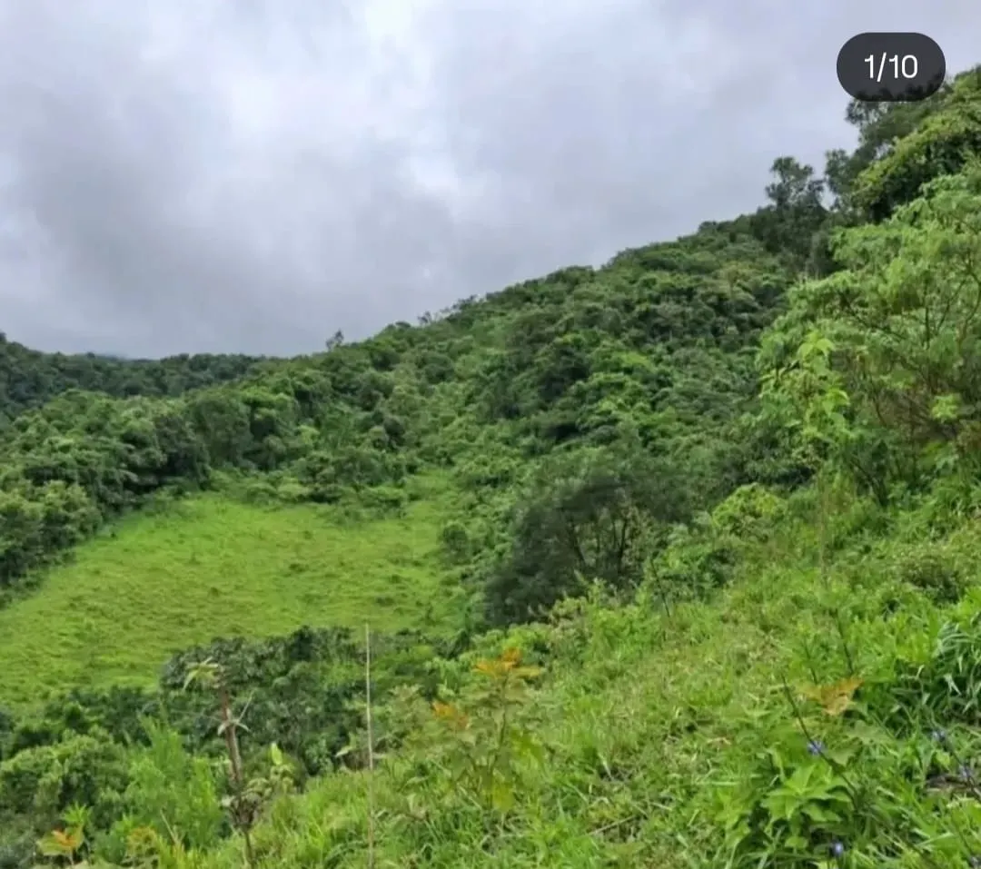 Terreno à venda de 2 ha em São José dos Campos, SP, Brasil